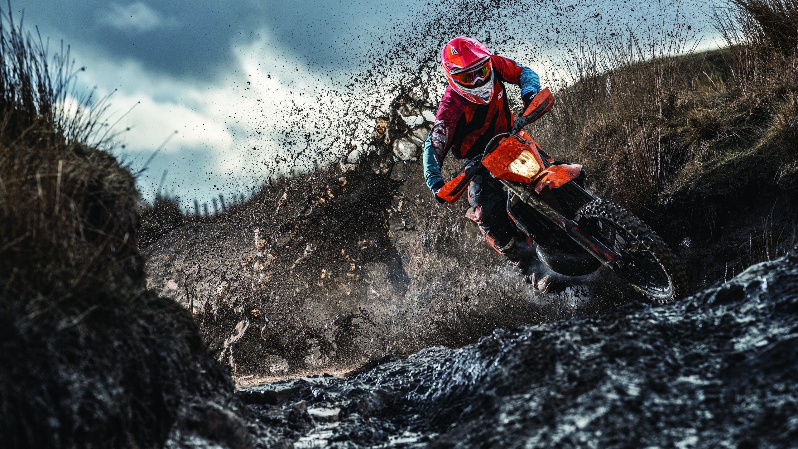 维尔·冯·威克：冲击力与灵活性兼具，南非队锋线的重要力量，安东冯维尔纳